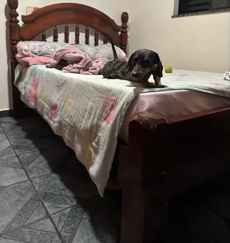base de cama viúva - sem colchão