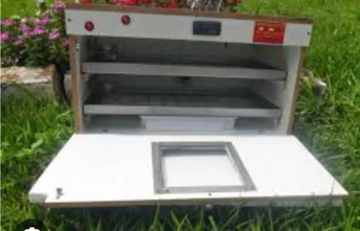 CONCERTO DE CHOCADEIRAS 