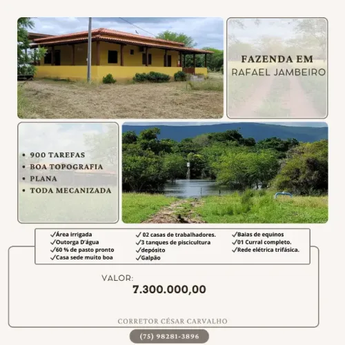 FAZENDA EM RAFAEL JAMBEIRO - 900 TAREFAS
