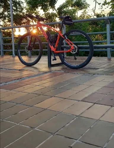 Bicicleta Lotus Aro 29 Fox