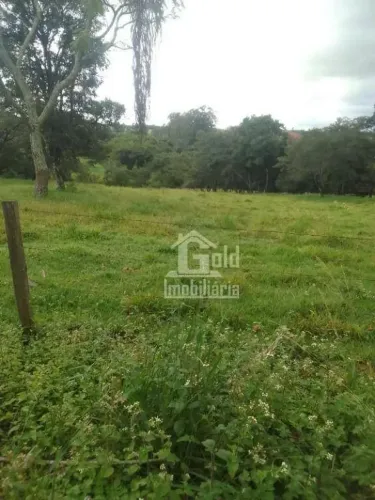 Fazenda com 42 Alqueires na cidade de Cássia dos Coqueiros