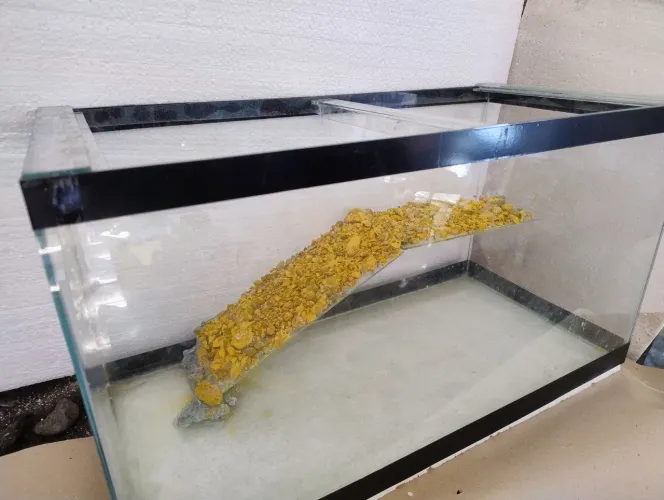 aquário para tartaruga