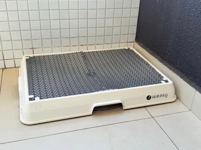 Weasy Cão | Banheiro inteligente para cachorro