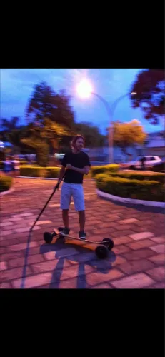Skate Carveboard Two Dogs com remo