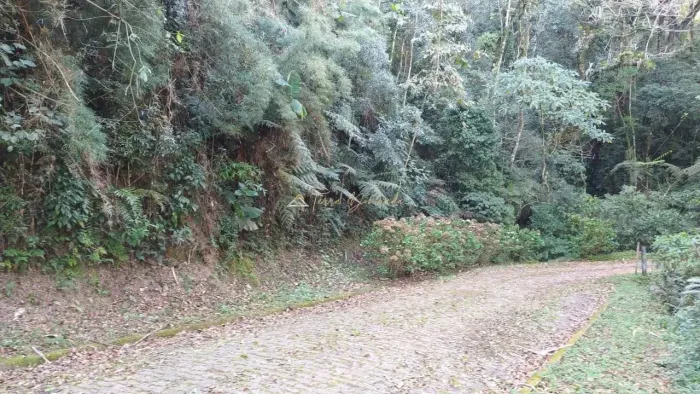 Lote à Venda em São Gotardo - Monteiro Lobato/SP