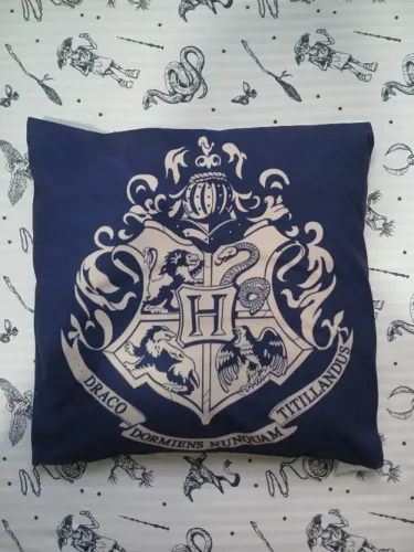 Almofada Harry Potter Riachuelo - Edição limitada