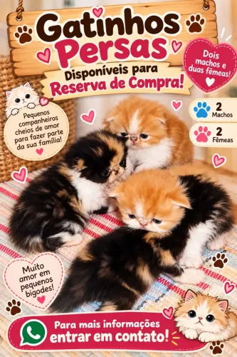 Reserva de vendas para Gatos Persas