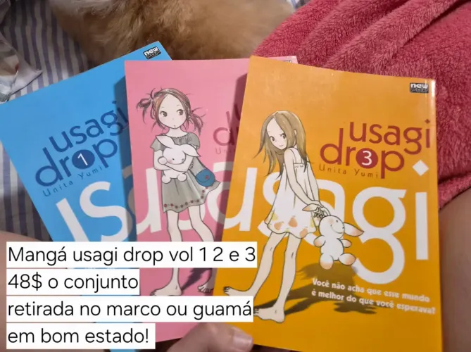 Volume 1 2 e 3 mangá/livro usagi drop