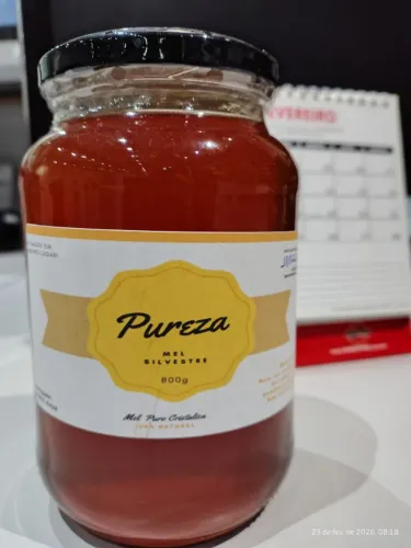 Mel Puro Silvestre e delicioso 800g 