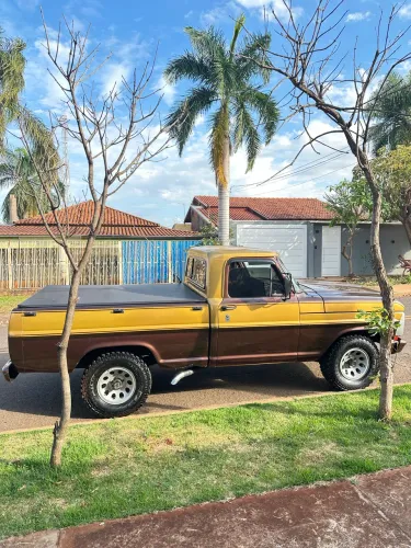 Ford F-100 Super 3.6 1981