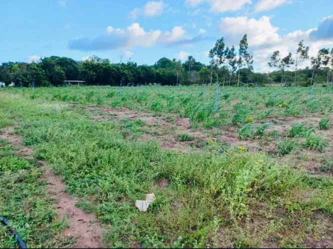 Fazenda em Ceará-Mirim - RN EML