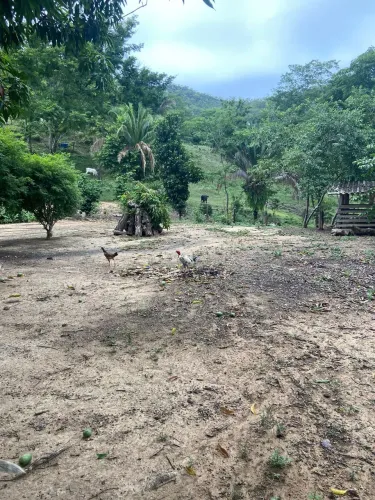 Imóvel rural no Raizama em Niquelândia