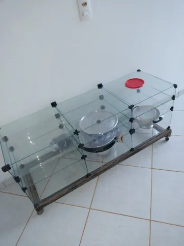 Venda de objetos usados