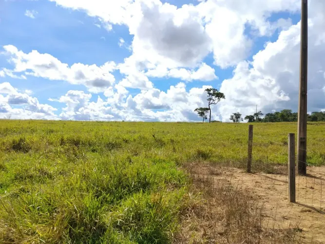 Fazenda em Cezarina - GO - 17 Alqueires