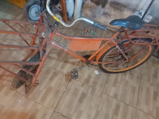 Bicicleta cargueira 
