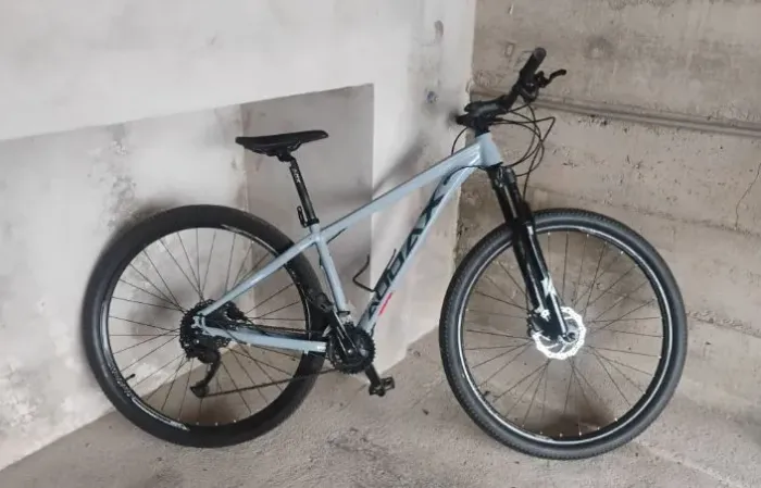 Bicicleta Audax