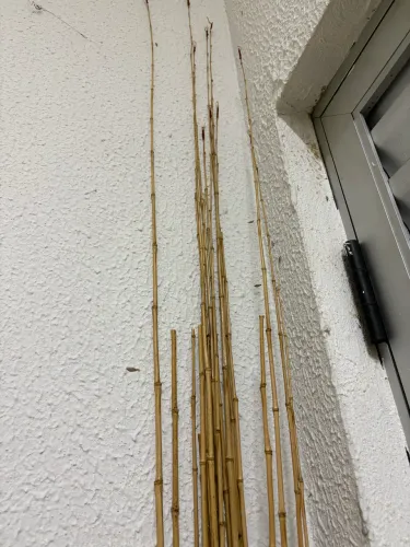 20 varas de bambu
