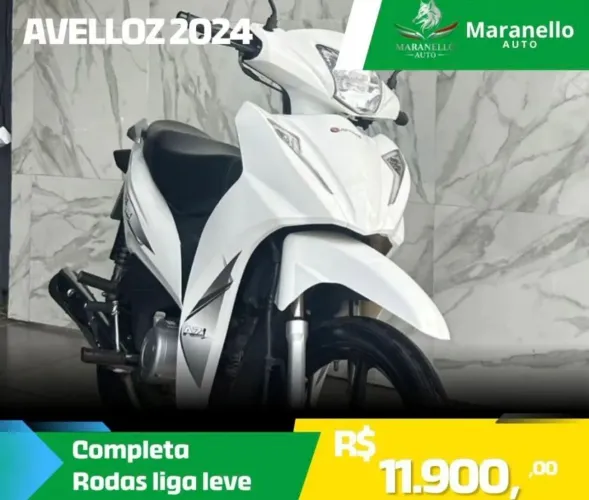 AVELLOZ 2024 - COMPLETA