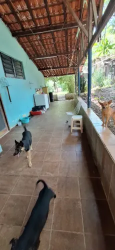 OPORTUNIDADE - LINDA CHÁCARA - 2000 mts² PLANA - SANTA CECÍLIA I - COM 03 DORMITÓRIOS - 01
