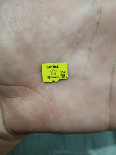 Cartão sd original Nintendo 256gb