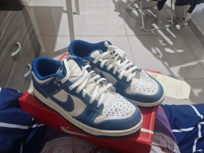 Nike dunk retro SE