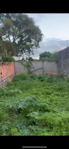Vendo terreno em Amélia 