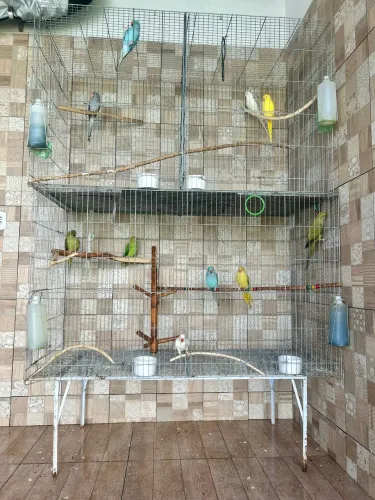 Gaiola grande de 150 cm