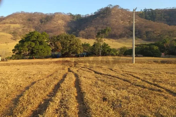 Fazenda Histórica em Buritizal/SP Natureza, Água e Tradição em um só lugar com 34,85 ha.