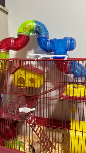 Gaiola para hamster 3 andares 
