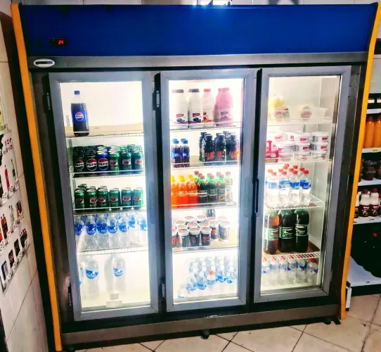 FREEZER EXPOSITOR REFRIMAXX 220V