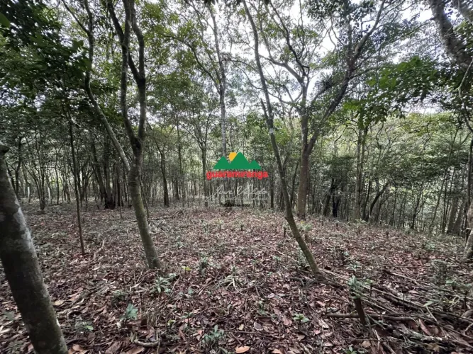 Terreno com 1 hectare todo cercado com estacas de cimento.