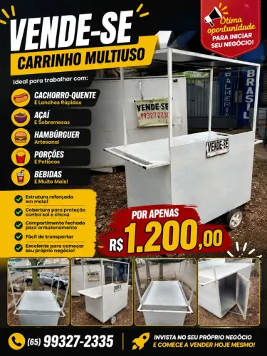 CARRINHO DE LANCHE E AÇAÍ