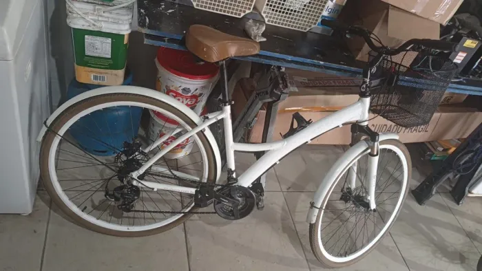 Bicicleta Urban aro 29