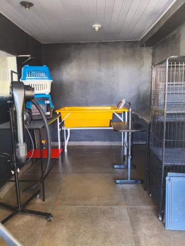 Banho e tosa