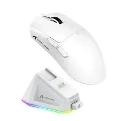 Mouse Atack Shark