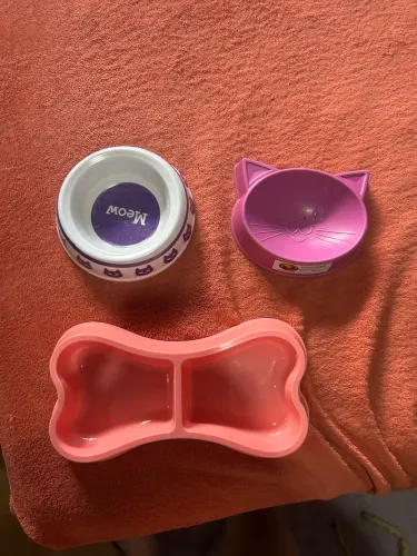 potes para gato