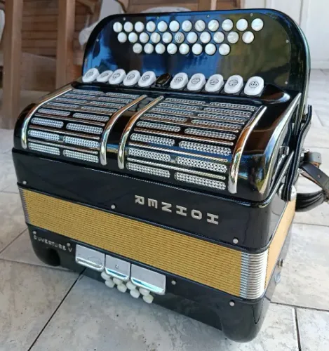 Acordeon diatônico 8 baixos Hohner