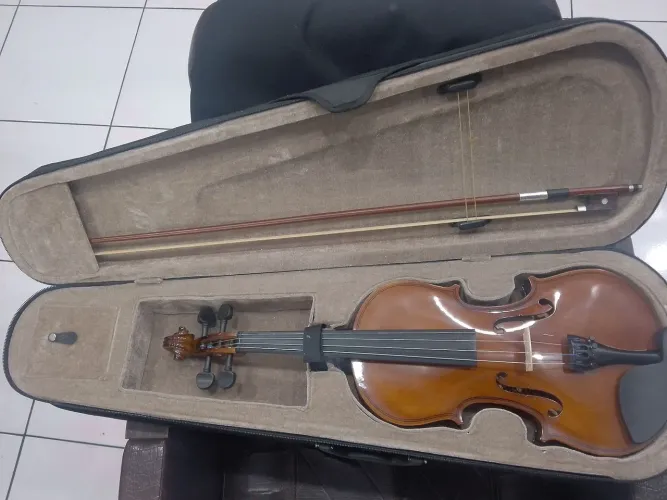 Violino