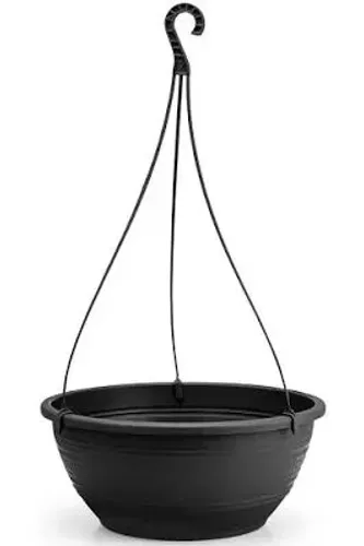 Vaso cuia com astea