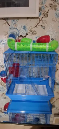Vendo 2 gaiolas de hamster