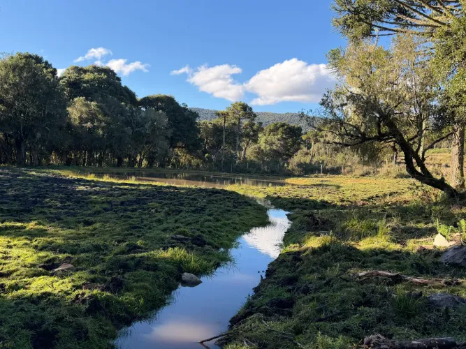 Terreno 60.000 (6 hectares) - Urubici SC