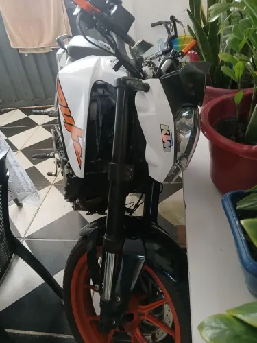 Duke
