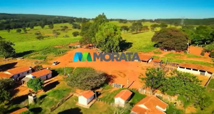 FAZENDA À VENDA - 923 HECTARES - BOCAIUVA (MG)