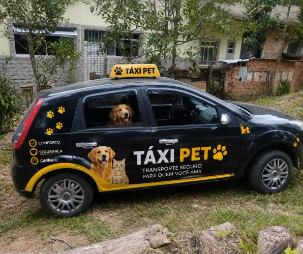 Táxi cão juíz de fora região