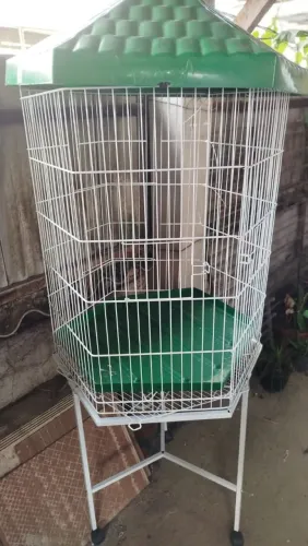 Gaiola de pássaro