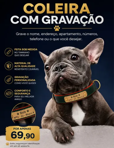 ? Coleira para Pet com Gravação | Nome, Telefone ou Endereço | Feita Sob Medida |