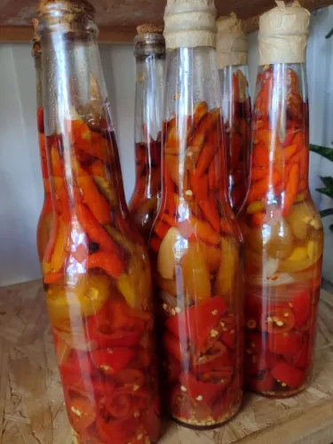 Molho de pimenta 