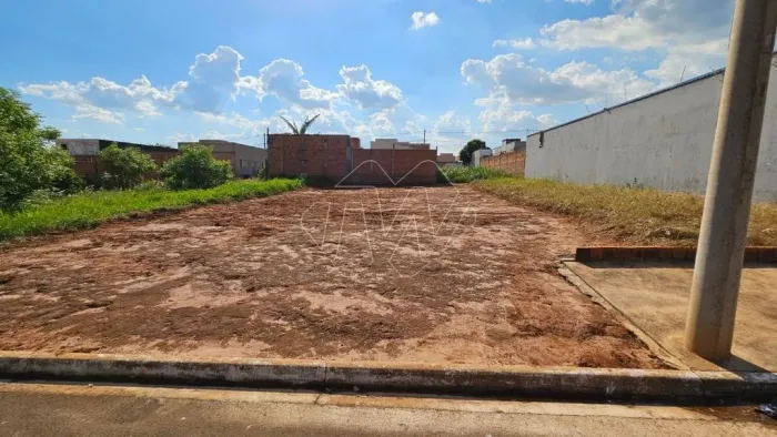 Venda de Terreno / Padrão na cidade de Araraquara