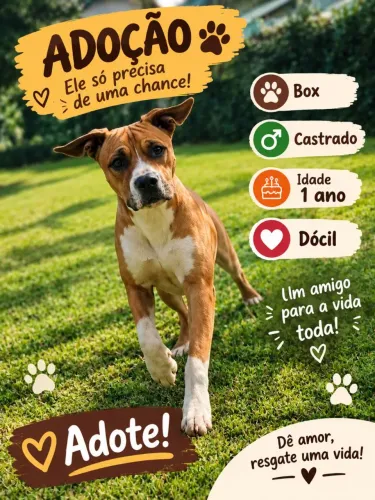 Doação boxer