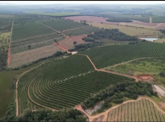 Fazenda de Laranjas 170 Alqueires 97 Alqueires em Laranja Podendo Plantar mais 20 Alqueire